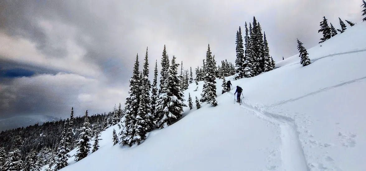 Zoa #ski