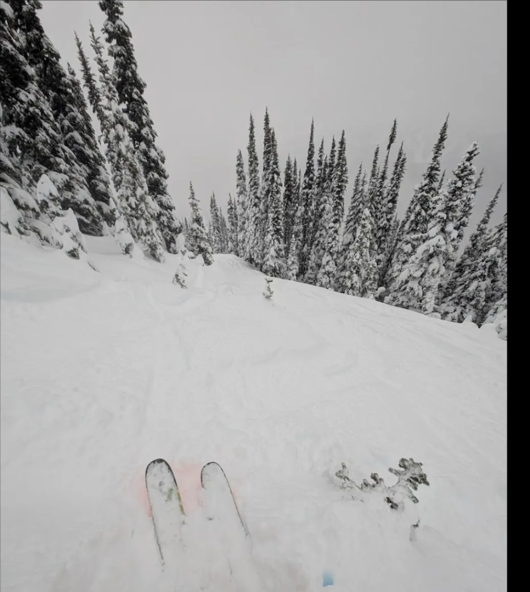 Whistler ski day, Dec 2024