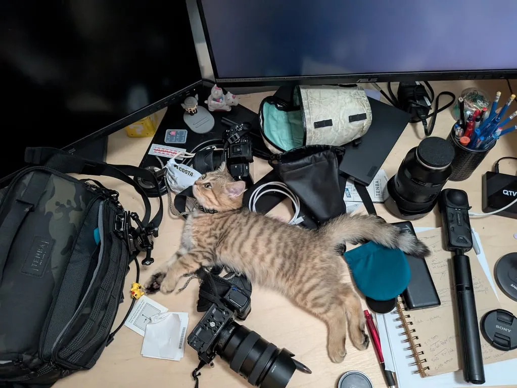 gear