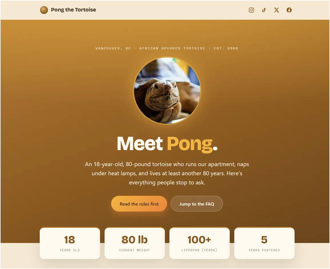 PongTheTort.com is live!